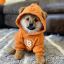 Logo DOG•GO•TO•THE•MOON 🐕