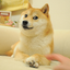 Logo The Doge NFT
