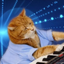 Logo Keyboard Cat