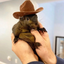 Logo Peanut the Squirrel