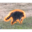 Logo Jimothy The Raccoon