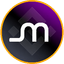 Logo Micron Technology Tokenized bStocks