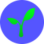 Logo Radworks