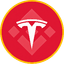 Logo Tesla Tokenized bStocks