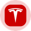 Logo Tesla (Ondo Tokenized)