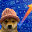 Logo Dogwifhat